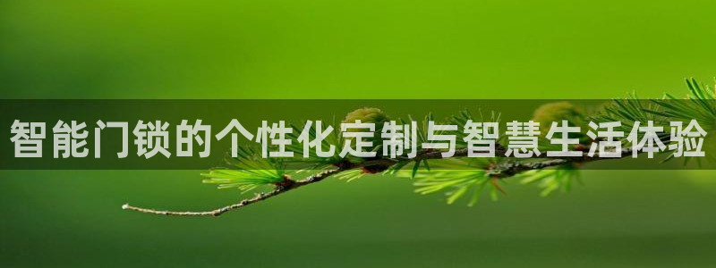 开丰娱乐寸67五壹叁八：智能门锁的个性化定制与智慧生活体验