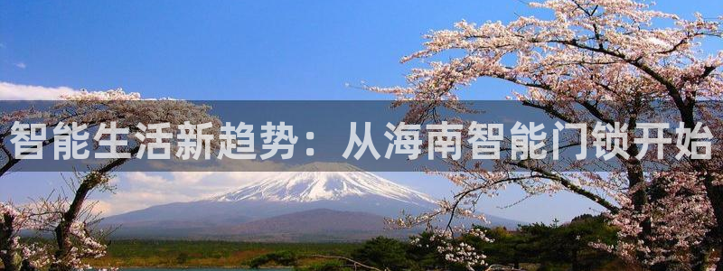 开丰娱乐登陆地址：智能生活新趋势：从海南智能门锁开始