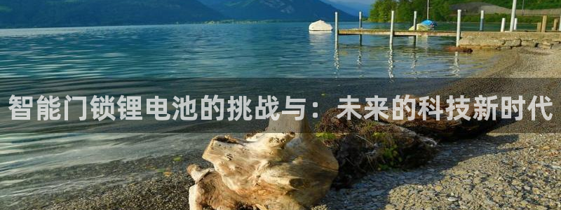 开丰娱乐官方app：智能门锁锂电池的挑战与：未来的科技新时代
