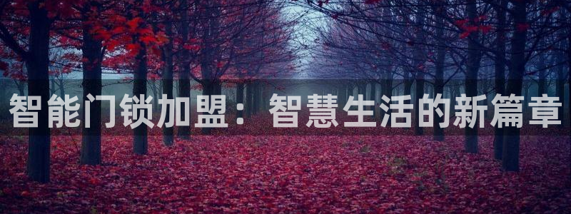 开丰娱乐与六七五一38：智能门锁加盟：智慧生活的新篇章