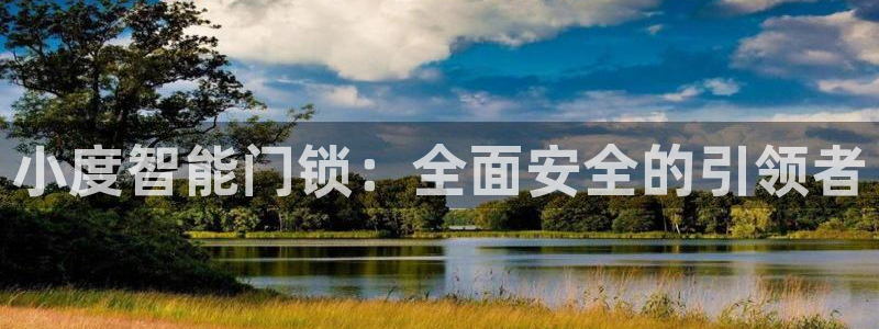 开丰娱乐网站：小度智能门锁：全面安全的引领者