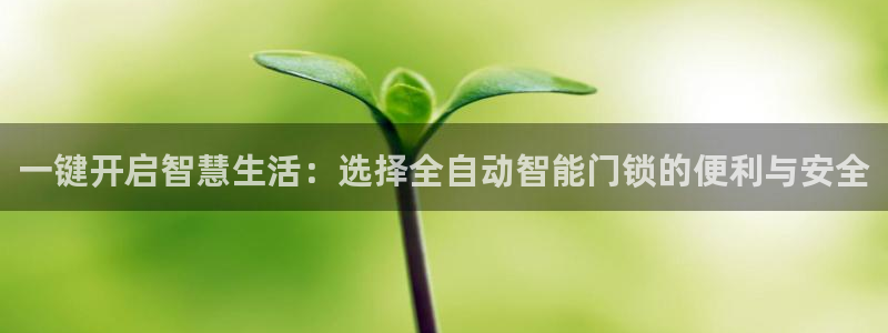 开丰娱乐若七九九：一键开启智慧生活：选择全自动智能门锁的便利