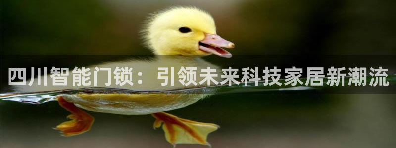 开丰娱乐更多平台：四川智能门锁：引领未来科技家居新潮流