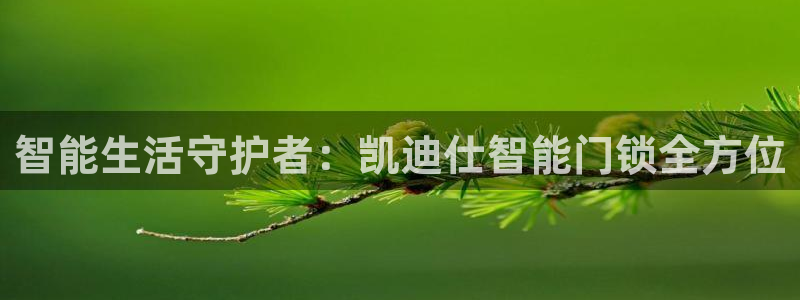 开丰娱乐天富娱乐：智能生活守护者：凯迪仕智能门锁全方位