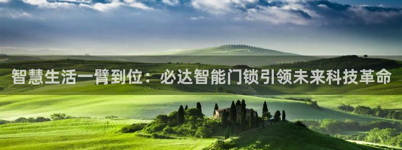 开丰娱乐平台登录网址：智慧生活一臂到位：必达智能门锁引领未来