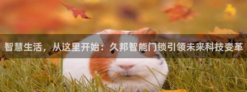 开丰娱乐登入地址是什么：智慧生活，从这里开始：久邦智能门锁引