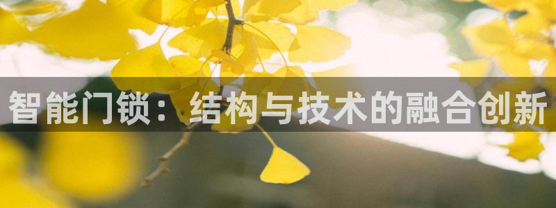 开丰娱乐联系q徽22212：智能门锁：结构与技术的融合创新