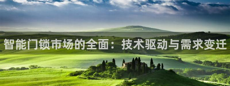 开丰娱乐新登录平台：智能门锁市场的全面：技术驱动与需求变迁