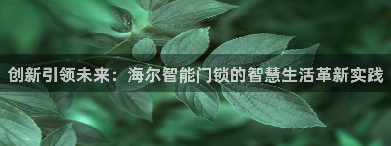 开丰娱乐官网平台电话：创新引领未来：海尔智能门锁的智慧生活革