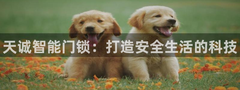开丰娱乐平台登录网址：天诚智能门锁：打造安全生活的科技