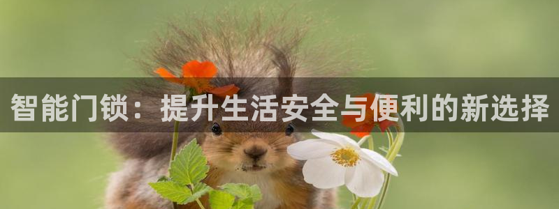 下载开丰娱乐：智能门锁：提升生活安全与便利的新选择