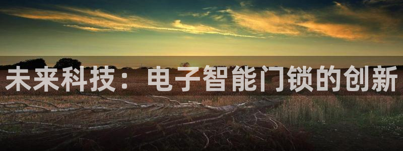 开丰娱乐千67五壹叁八：未来科技：电子智能门锁的创新