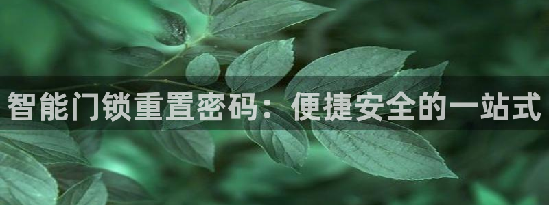 开丰娱乐若七九九：智能门锁重置密码：便捷安全的一站式
