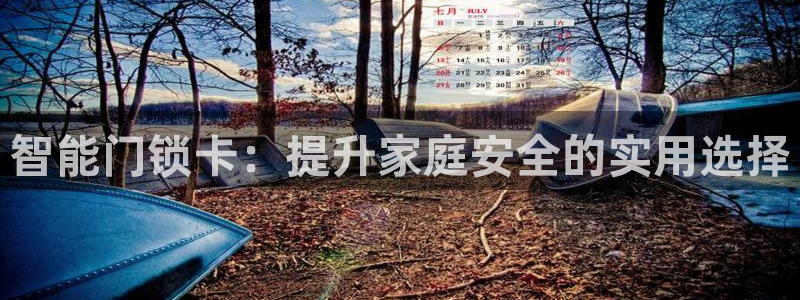 开丰娱乐平台登录网址：智能门锁卡：提升家庭安全的实用选择