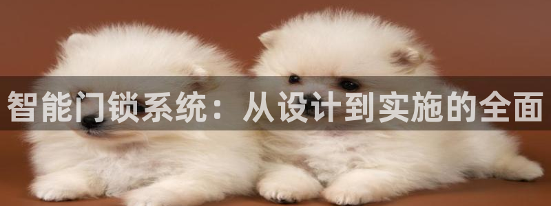 开丰娱乐登录平台下载：智能门锁系统：从设计到实施的全面