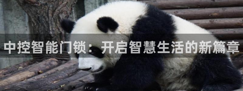 开丰娱乐巾67五壹叁八：中控智能门锁：开启智慧生活的新篇章