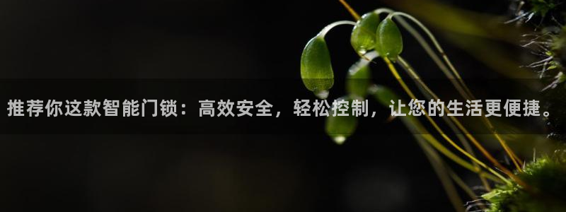 开丰娱乐网站：推荐你这款智能门锁：高效安全，轻松控制，让您的