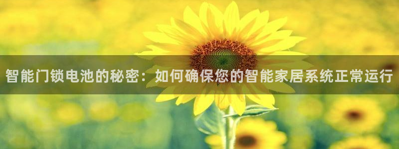 开丰娱乐67 5138：智能门锁电池的秘密：如何确保您的智能