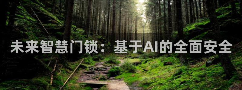 开丰娱乐左7O667：未来智慧门锁：基于AI的全面安全
