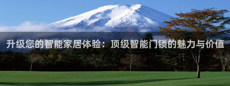 开丰娱乐不开了吗：升级您的智能家居体验：顶级智能门锁的魅力与