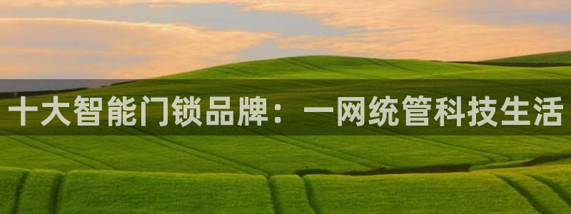 开丰娱乐前：十大智能门锁品牌：一网统管科技生活
