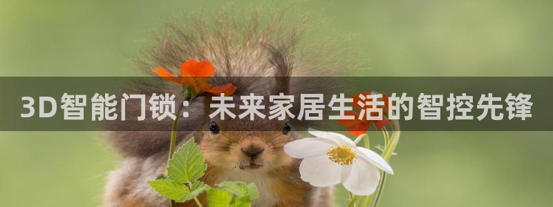 开丰娱乐登入地址：3D智能门锁：未来家居生活的智控先锋