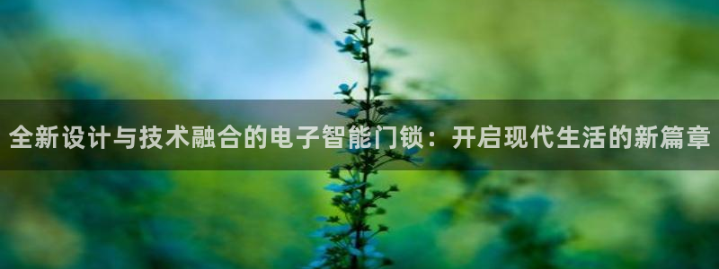 如何注册开丰娱乐账号：全新设计与技术融合的电子智能门锁：开启