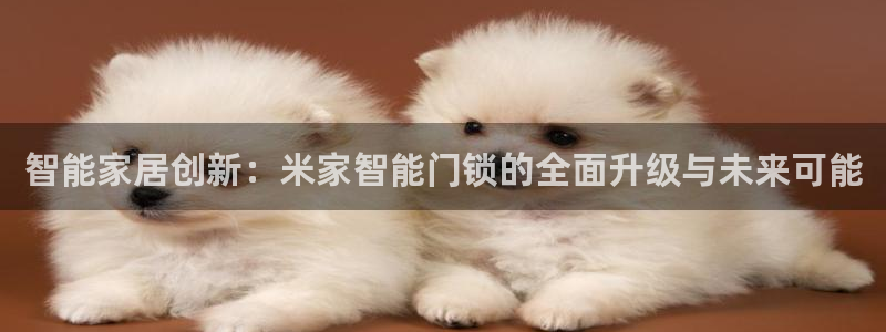 开丰娱乐平台地址查询：智能家居创新：米家智能门锁的全面升级与