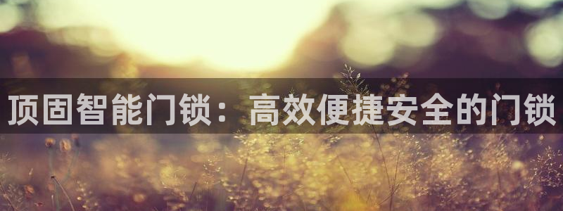 开丰娱乐上：顶固智能门锁：高效便捷安全的门锁