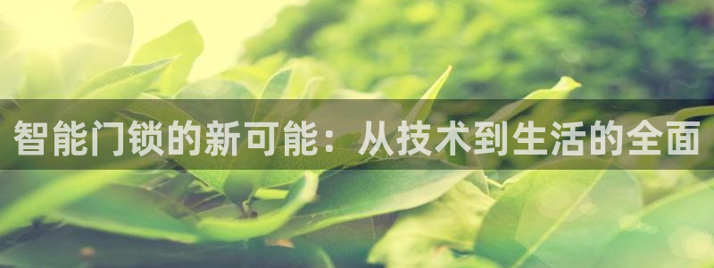 开丰娱乐咋7O777：智能门锁的新可能：从技术到生活的全面