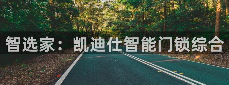 开丰娱乐后：智选家：凯迪仕智能门锁综合