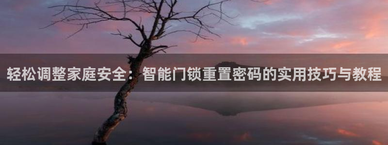 开丰娱乐官网平台登录：轻松调整家庭安全：智能门锁重置密码的实