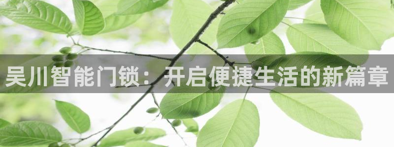 开丰娱乐体育平台：吴川智能门锁：开启便捷生活的新篇章