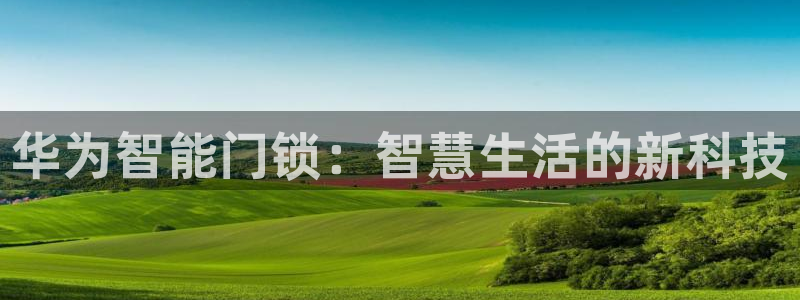 开丰娱乐登入地址在哪儿：华为智能门锁：智慧生活的新科技