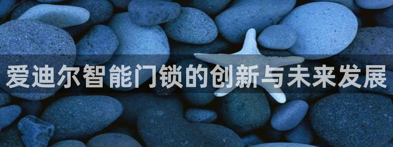开丰娱乐登入地址：爱迪尔智能门锁的创新与未来发展
