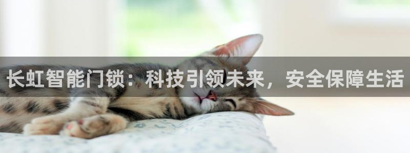 开丰娱乐体育平台：长虹智能门锁：科技引领未来，安全保障生活
