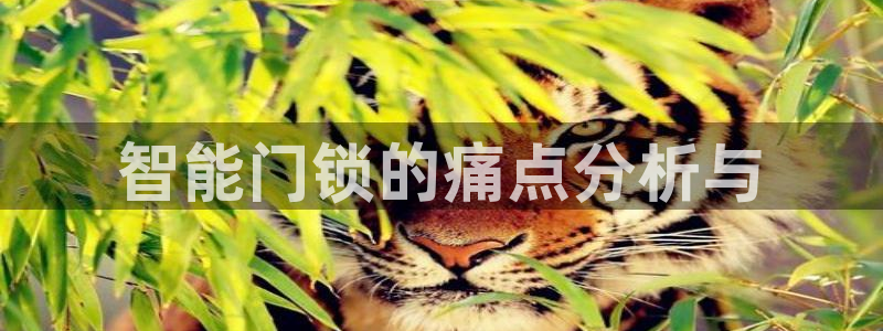 开丰娱乐测速