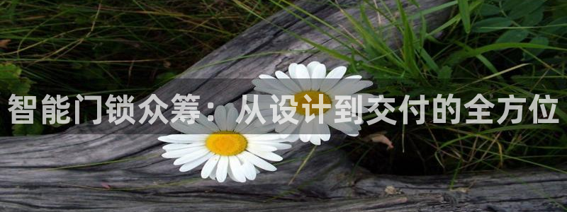 开丰娱乐登录地址入口：智能门锁众筹：从设计到交付的全方位