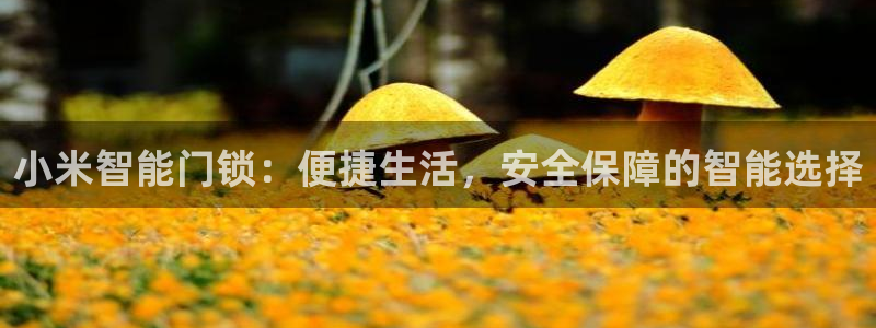 开丰娱乐寸67五壹叁八