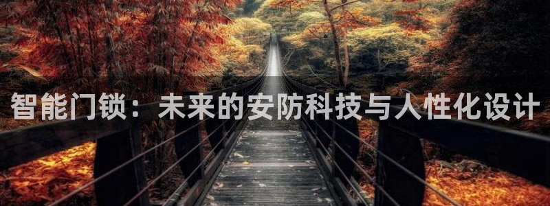 开丰娱乐平台注册：智能门锁：未来的安防科技与人性化设计