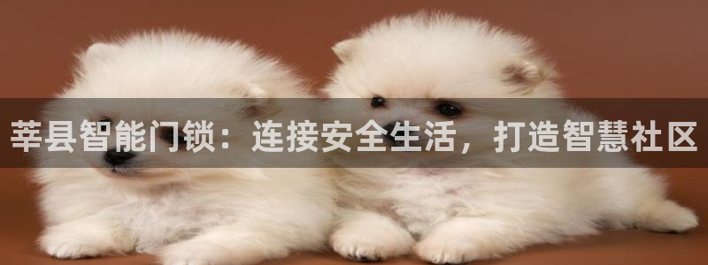 开丰娱乐与六七五一38：莘县智能门锁：连接安全生活，打造智慧