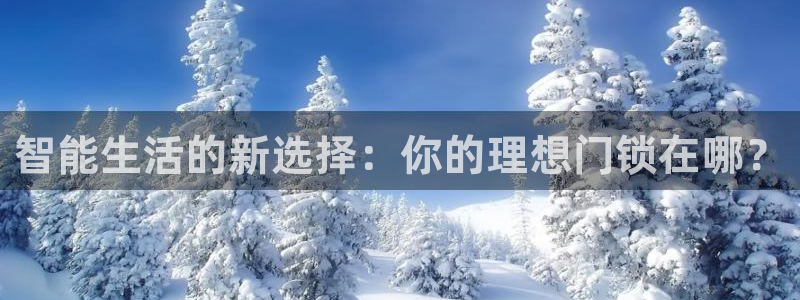 开丰娱乐寸六七五一38：智能生活的新选择：你的理想门锁在哪？