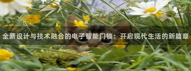 开丰娱乐违法吗：全新设计与技术融合的电子智能门锁：开启现代生