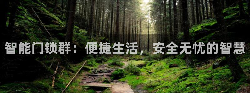 开丰娱乐前