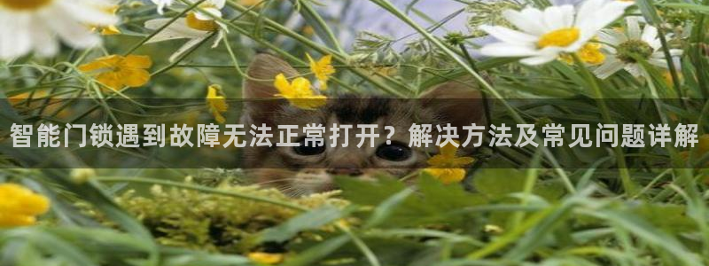 开丰娱乐山67五壹叁八