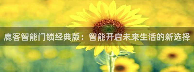 开丰娱乐注册登录：鹿客智能门锁经典版：智能开启未来生活的新选