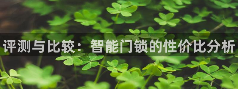 开丰娱乐体育平台：评测与比较：智能门锁的性价比分析