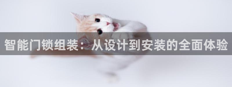 开丰娱乐67 5138：智能门锁组装：从设计到安装的全面体验
