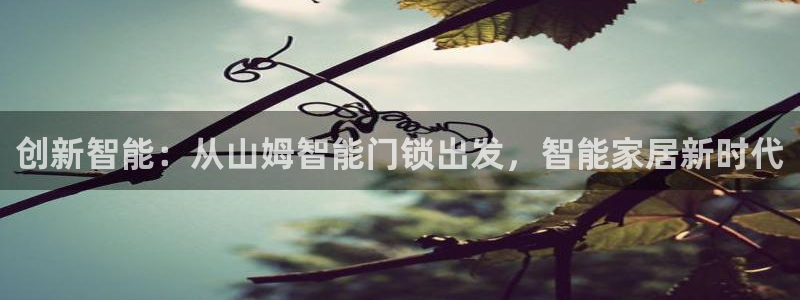 开丰娱乐下：创新智能：从山姆智能门锁出发，智能家居新时代