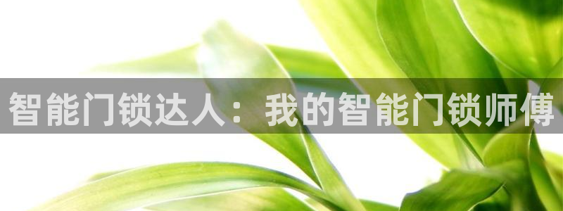 开丰娱乐最新活动：智能门锁达人：我的智能门锁师傅